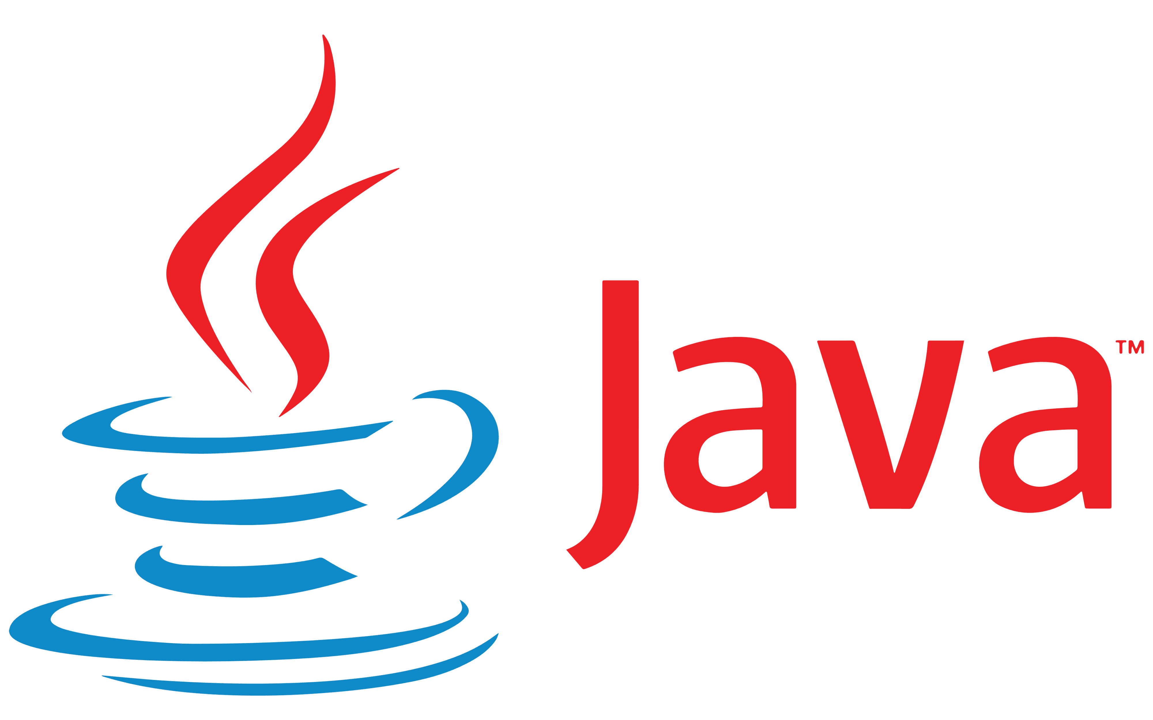 Java Developer